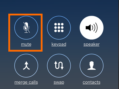 Mute button during conference call
